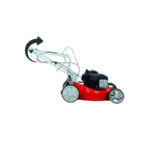 Einhell motorna kosačica kosilica GC-PM 46/1 S BS
