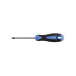 HOEGERT šestokraki torx odvijač S2 HT1S053 T10x100mm