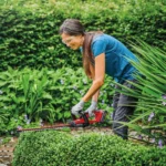 Einhell aku makaze škare za živicu Power X-Change GC-CH 18/40 Li-Solo