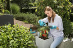 Gardena set baštenskog alata BASIC Starter Kit 8965-30