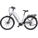 MS ENERGY eBike c100