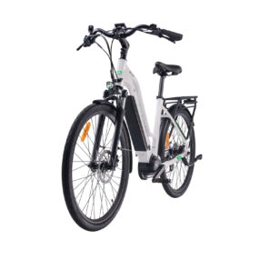 MS ENERGY eBike c100