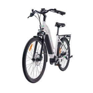 MS ENERGY eBike c100