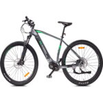 MS ENERGY eBike m100