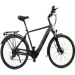 MS ENERGY eBike c501