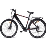 MS ENERGY eBike t10