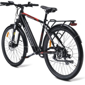 MS ENERGY eBike t10