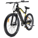 MS ENERGY eBike m10